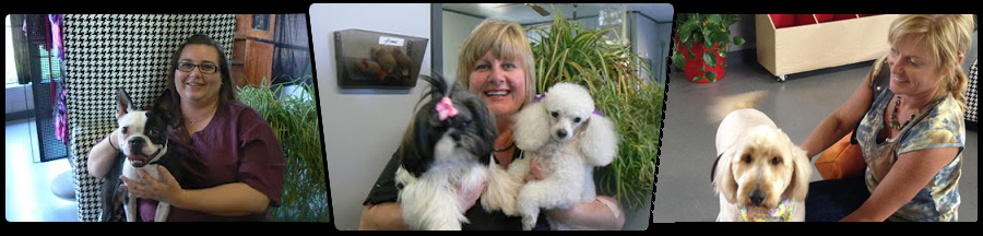 <div style='background-color: transparent; width: 900px; height: 56px; line-height: 65px; font-size: 14pt; overflow: hidden; background: transparent url(cap.png); display: block; color: #fff; text-align: center;'>
Happy Customers</div>